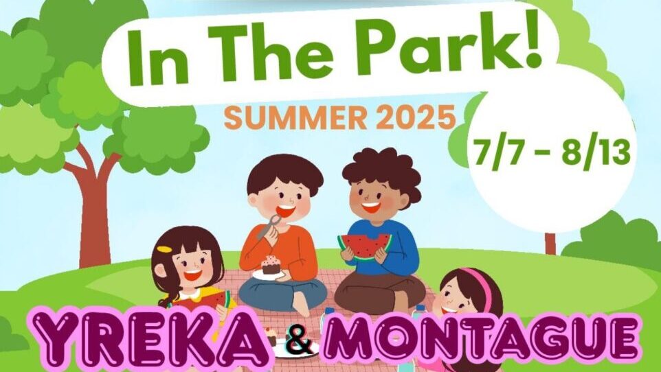 Playgroup in the Park